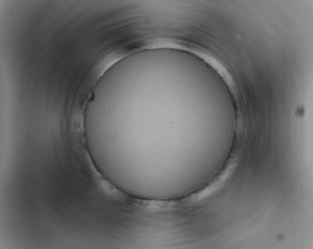 X0000102530905200808221902