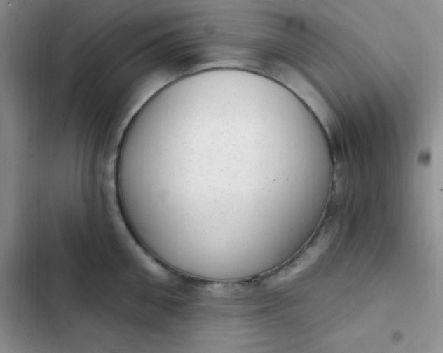 X0000102530906200808221902