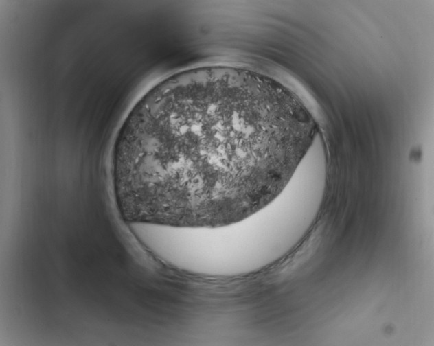 X0000102530907200808221902