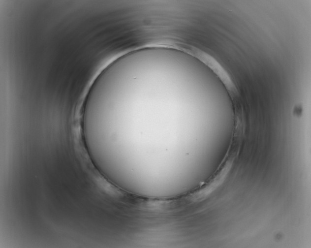 X0000102530908200808221902