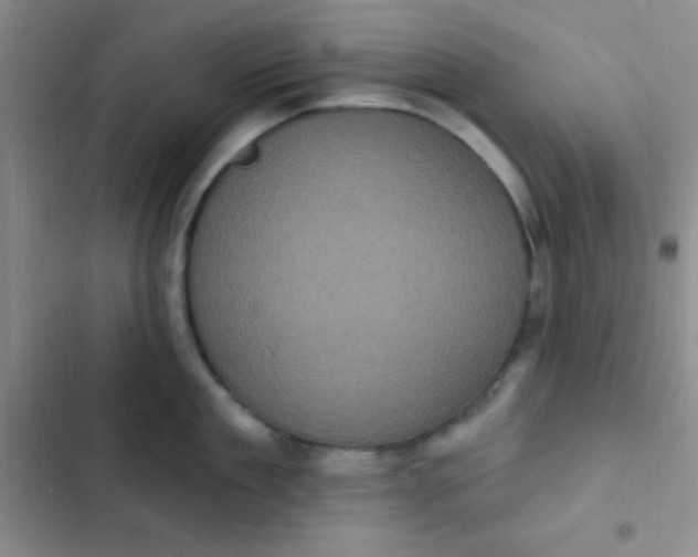 X0000102530909200808221902