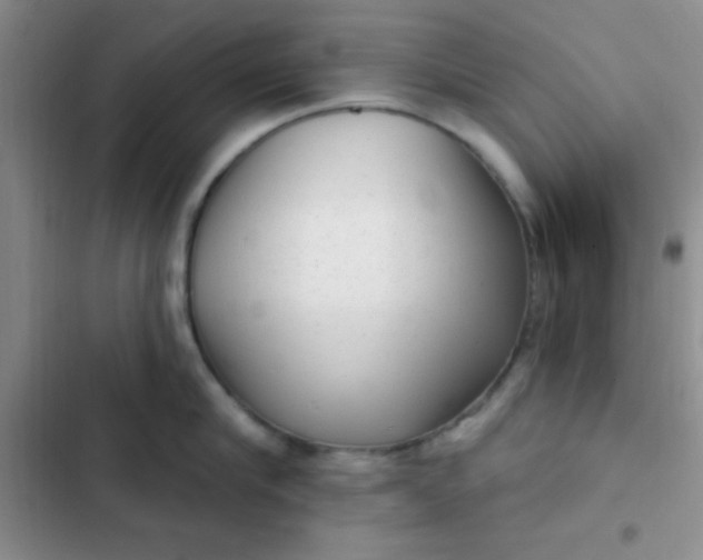 X0000102530910200808221902