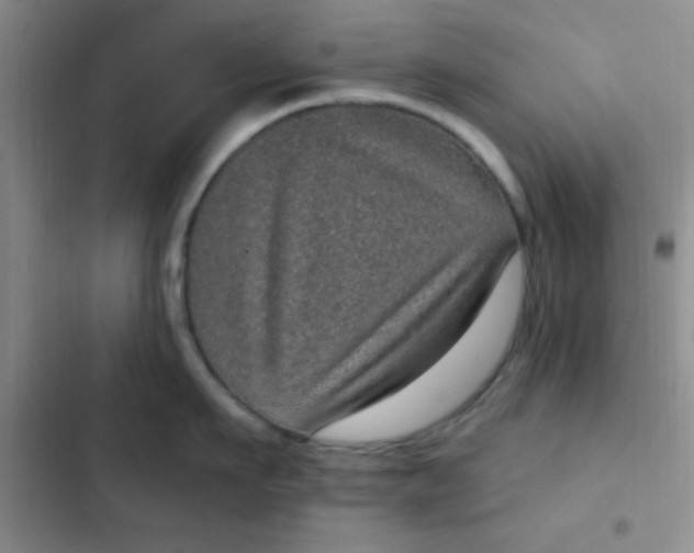 X0000102530911200808221902