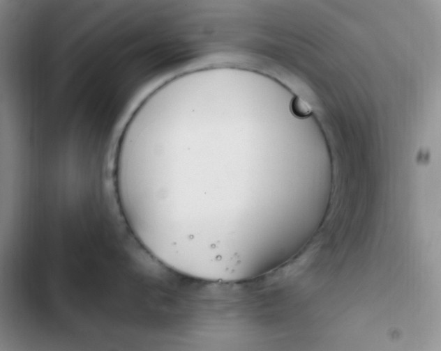 X0000102530912200808221902