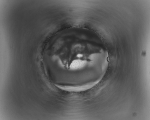 X0000102530913200808221901