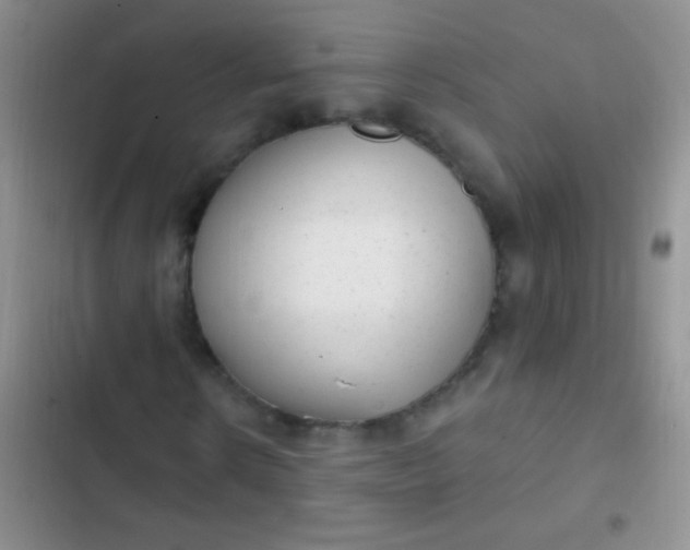 X0000102530914200808221901