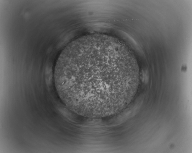 X0000102530915200808221901