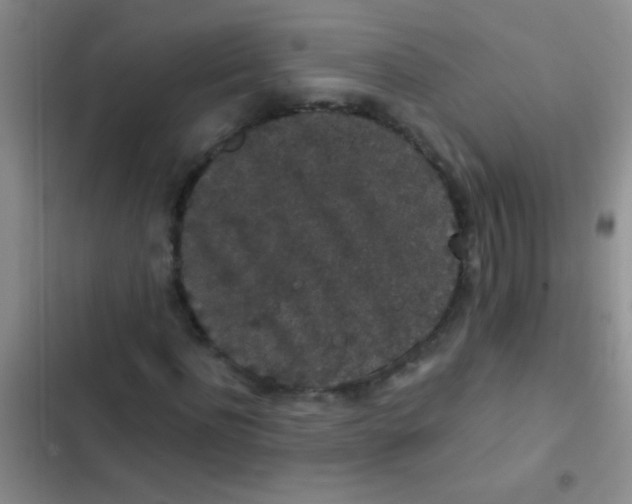 X0000102530916200808221901