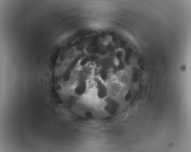 X0000102530917200808221901