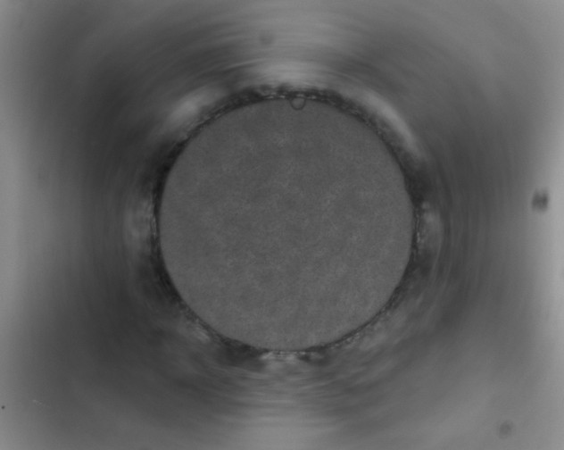 X0000102530918200808221901