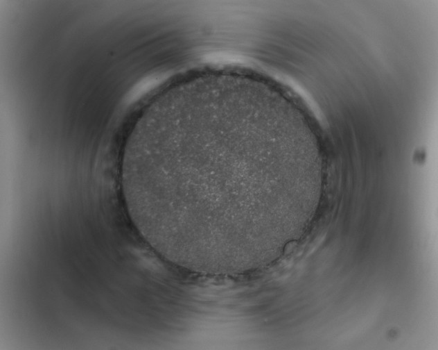 X0000102530919200808221901