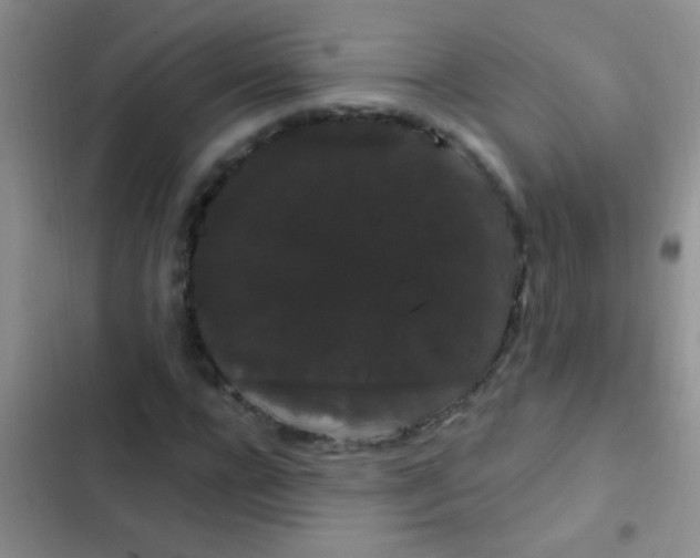 X0000102530920200808221902