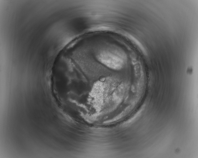 X0000102530921200808221902