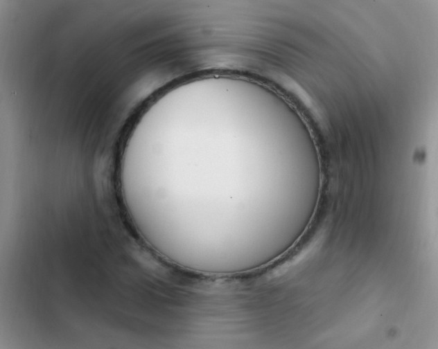 X0000102530922200808221902