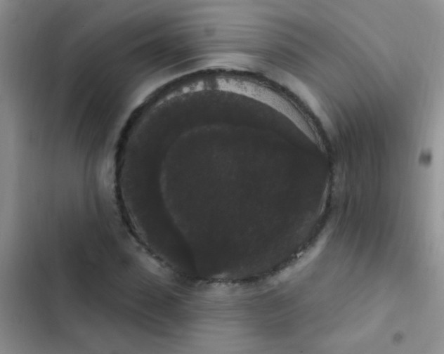 X0000102530923200808221902