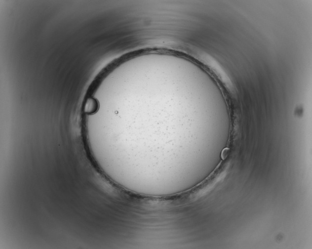 X0000102530924200808221902