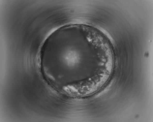 X0000102530925200808221902