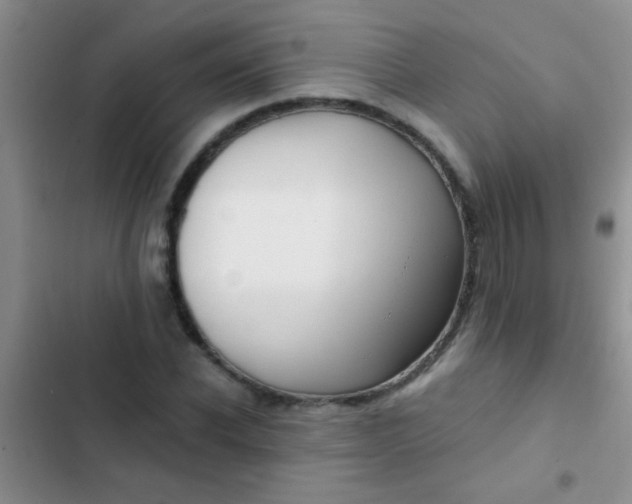 X0000102530926200808221902