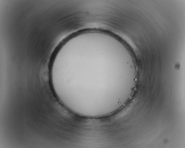 X0000102530927200808221902