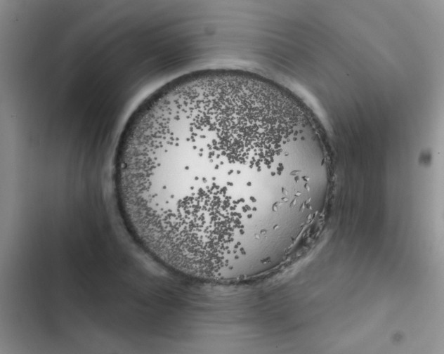 X0000102530928200808221902