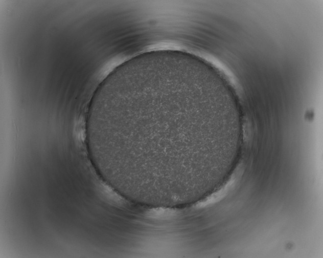 X0000102530929200808221902