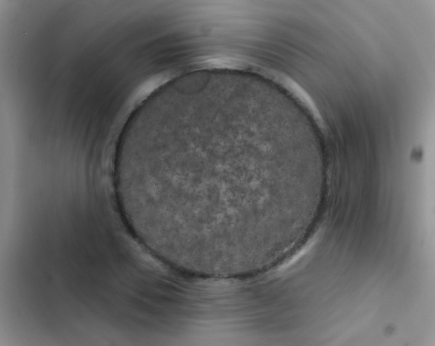 X0000102530930200808221902