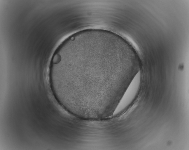 X0000102530932200808221902