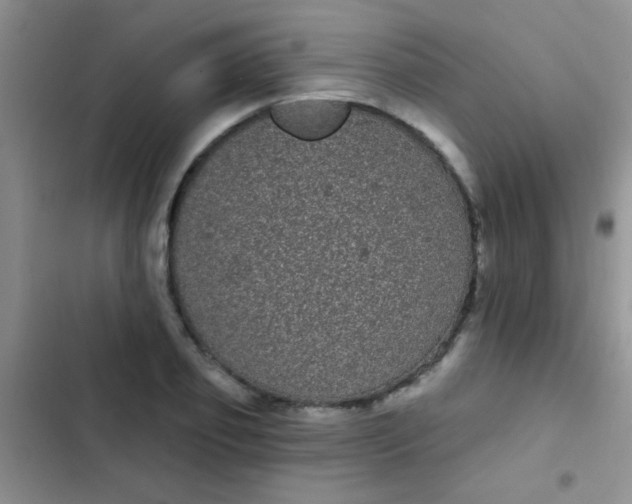 X0000102530933200808221902