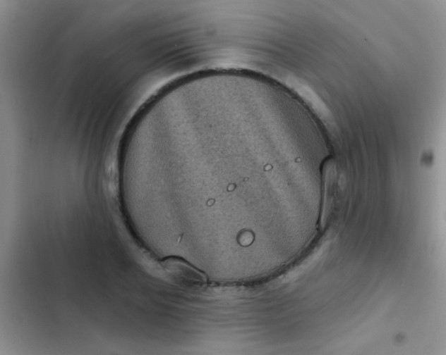 X0000102530934200808221902