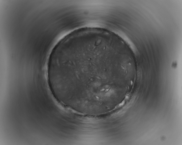 X0000102530935200808221902