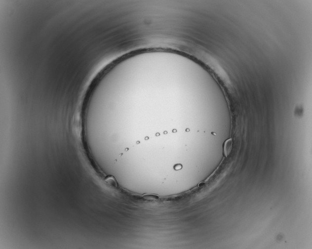 X0000102530936200808221902