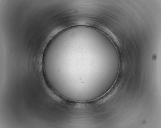 X0000102530938200808221902