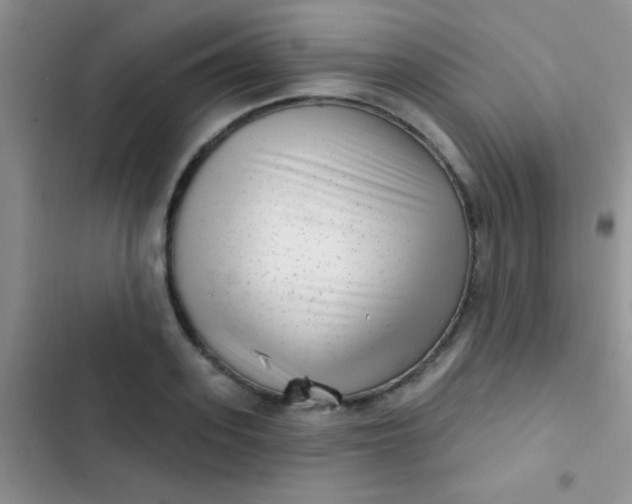 X0000102530939200808221902