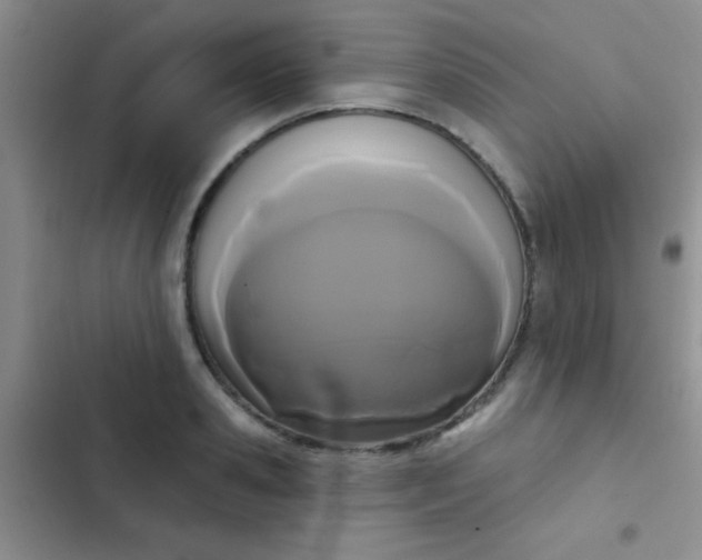 X0000102530941200808221902