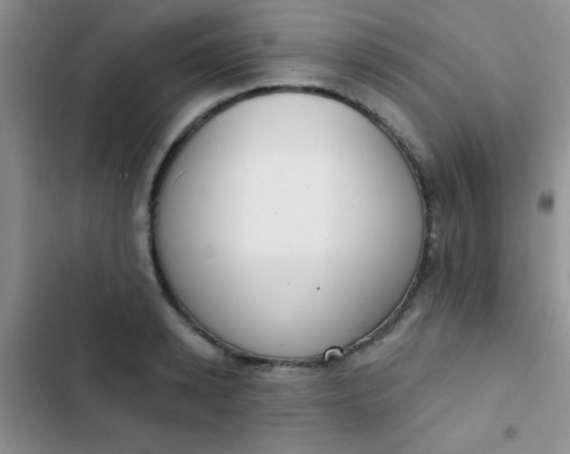 X0000102530942200808221902