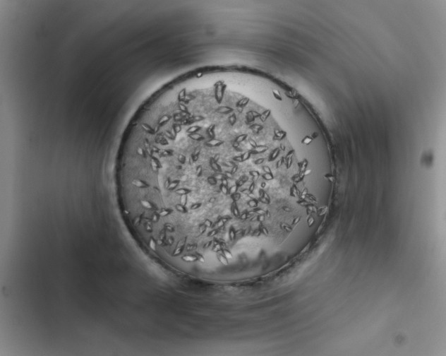 X0000102530943200808221902