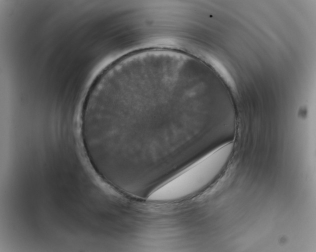 X0000102530944200808221902