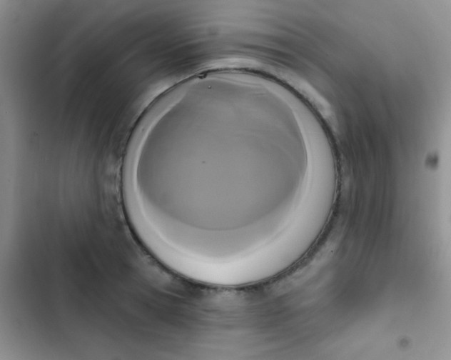 X0000102530945200808221902