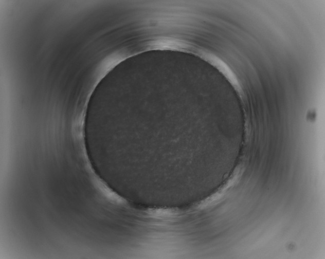 X0000102530946200808221902