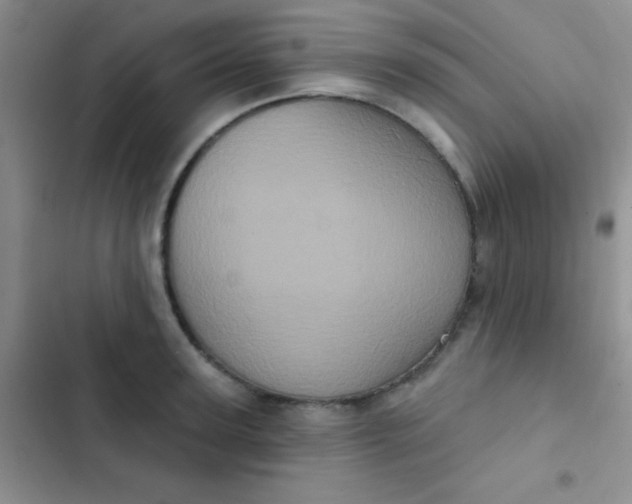 X0000102530947200808221902