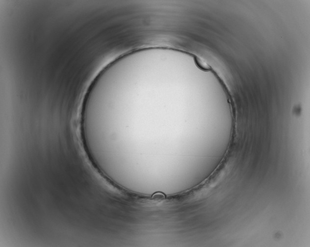 X0000102530949200808221902