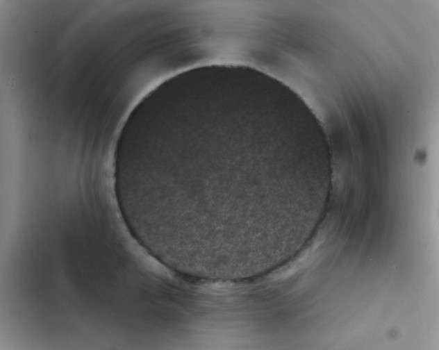 X0000102530950200808221902