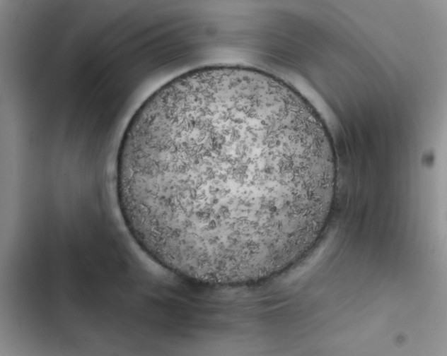 X0000102530951200808221902