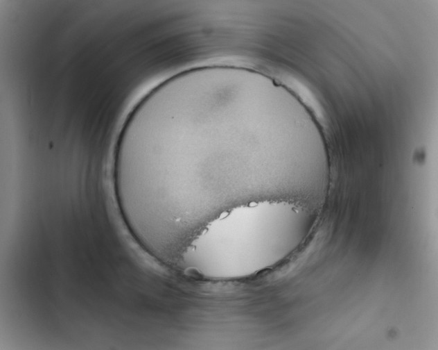 X0000102530952200808221902