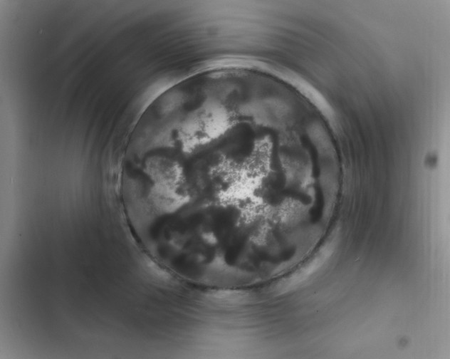 X0000102530953200808221902