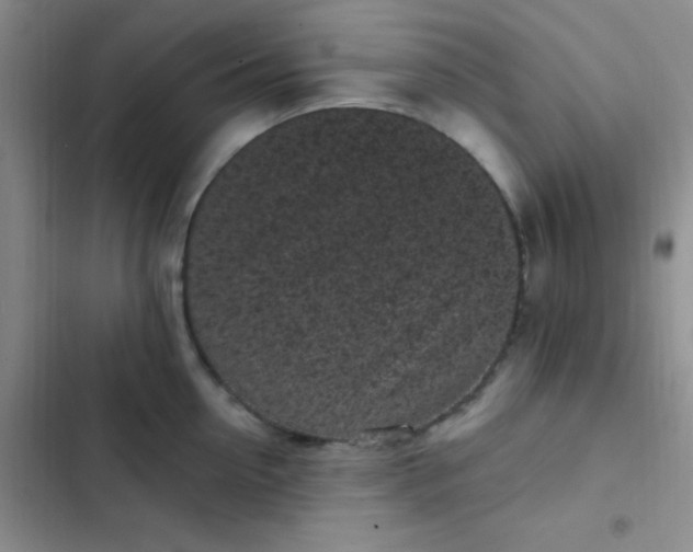 X0000102530954200808221902