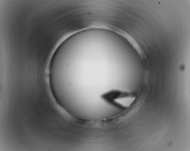 X0000102530955200808221902