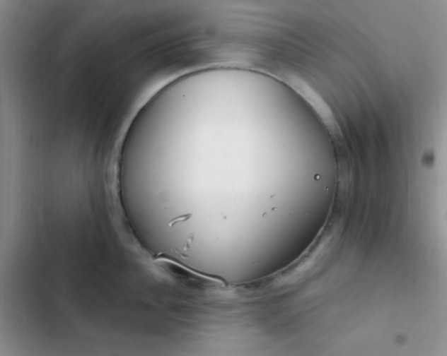 X0000102530956200808221902