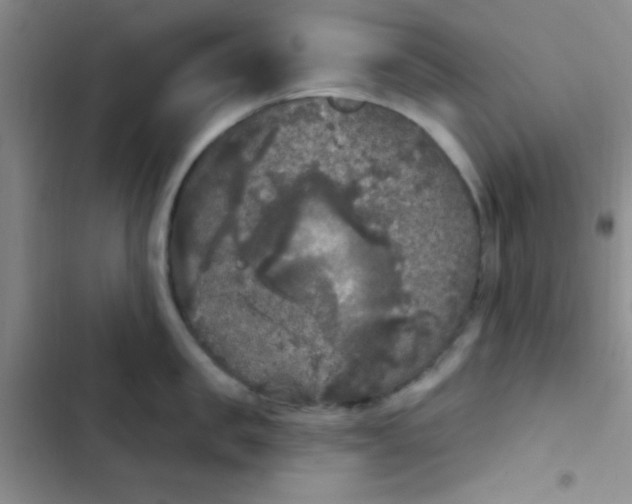 X0000102530957200808221902