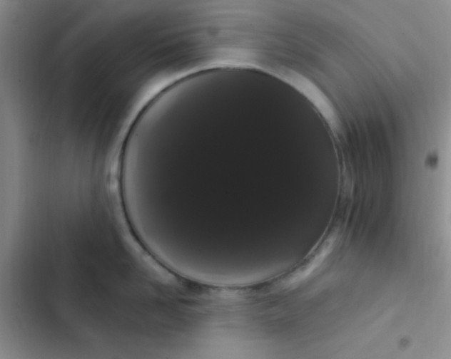 X0000102530958200808221902